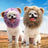 Crochet lion mane hat for dogs and cats, available in 4 styles, image 4