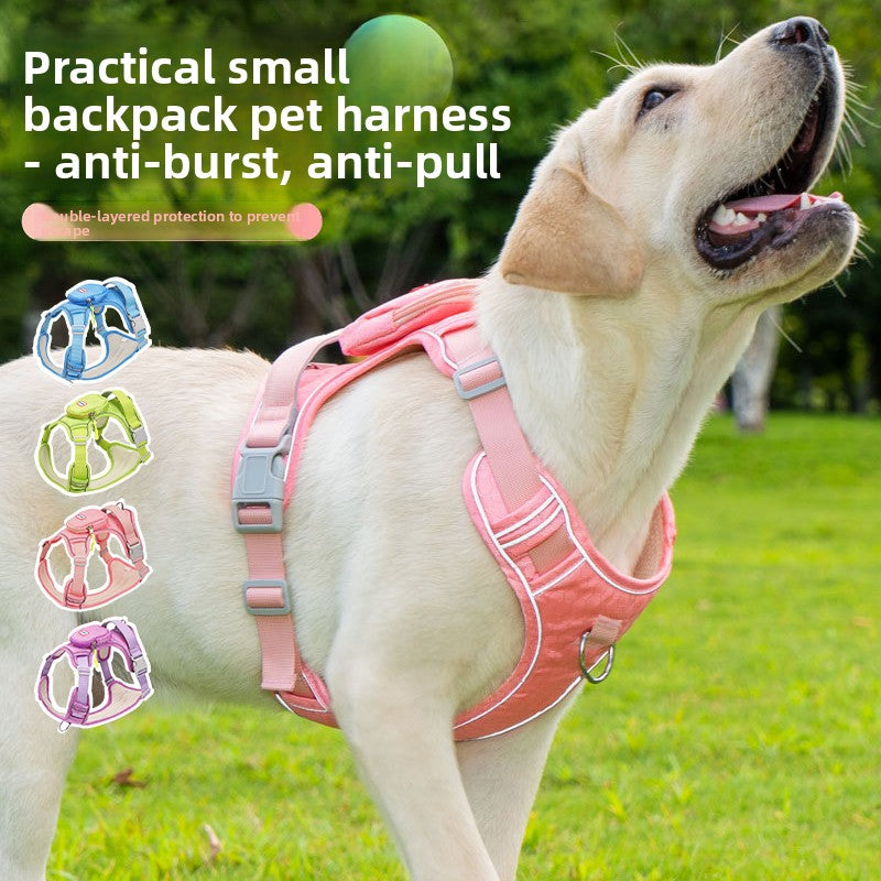 Reflective harness for medium to giant dogs, ideal for everyday use