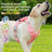 Reflective harness for medium to giant dogs, ideal for everyday use