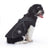 Waterproof padded British style dog winter coat in Bordeaux, in a home setting