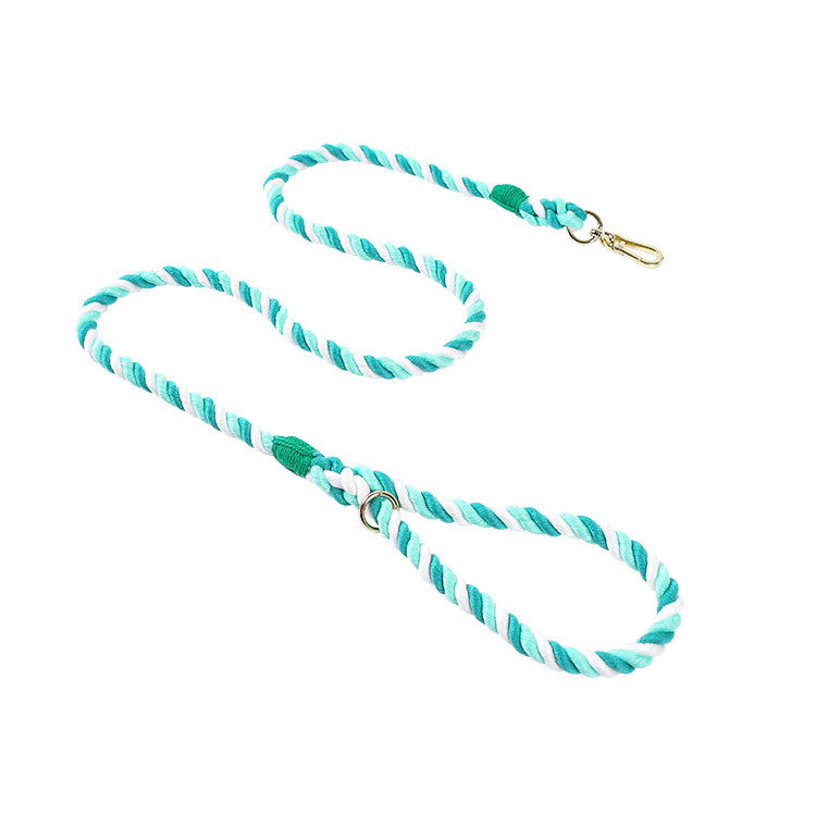 Pastel woven dog collars with gold buckles in many colours