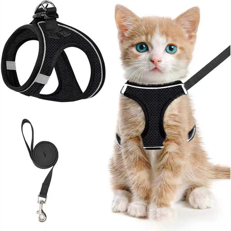 Breathable reflective mesh harness in lake blue on a cat