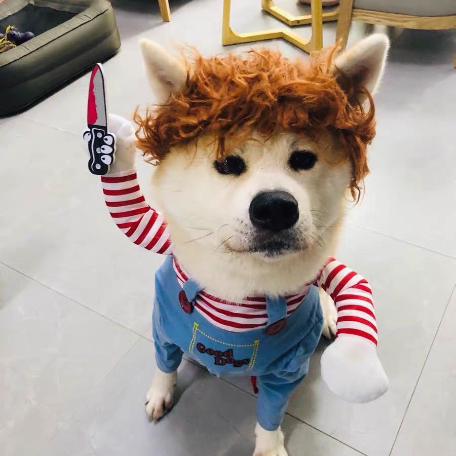 Halloween and Christmas pet costume for dogs and cats in Ghost Costume, front view
