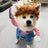 Halloween and Christmas pet costume for dogs and cats in Ghost Costume, front view
