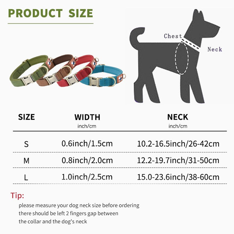 Padded dog collar with cotton lining, ideal for everyday use
