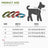 Padded dog collar with cotton lining, ideal for everyday use