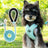 Reflective vest harness with lead option, ideal for everyday use