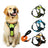 Bright reflective vest dog harness with adjustable straps in orange, view 1