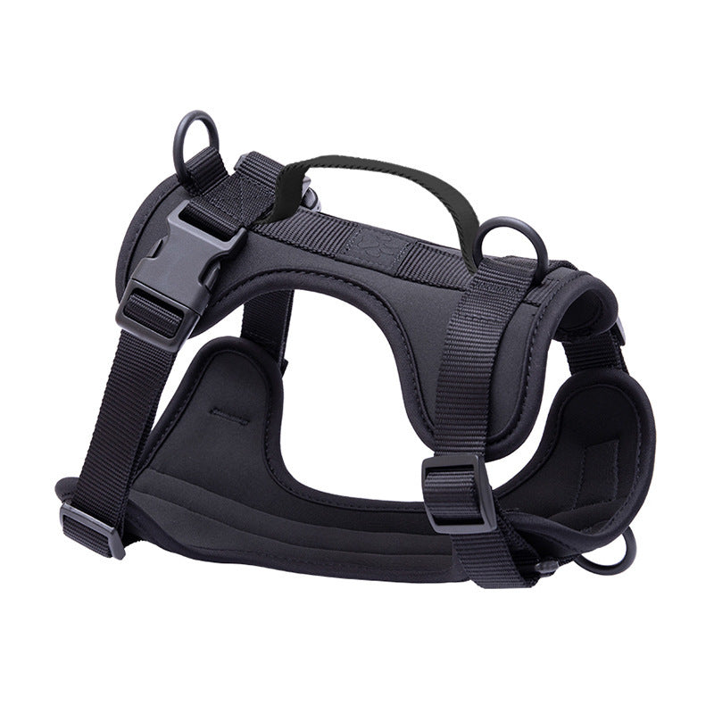 PVC dog harness lead and collar set in bright colours, 4 sizes available
