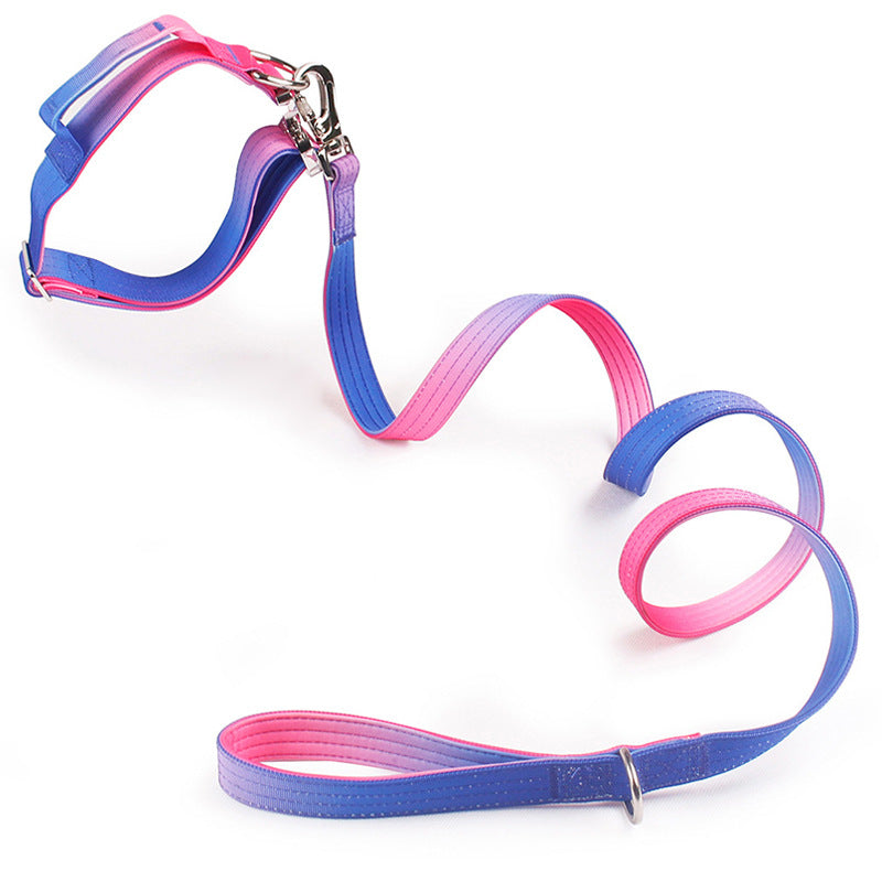 Gradient dog collar and lead, main product photo