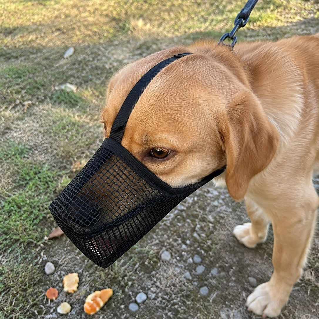 Black breathable nylon mesh dog muzzle with adjustable strap, product image 2