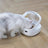 Smart Pet Feeder