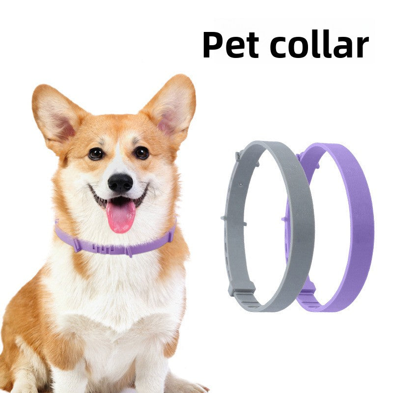 Quick-release safety collar for dogs and cats, 2 sizes available