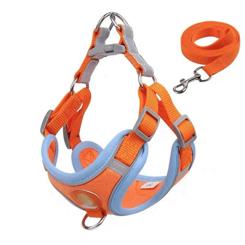Small dog vest harness, main product photo from Pet Royale UK