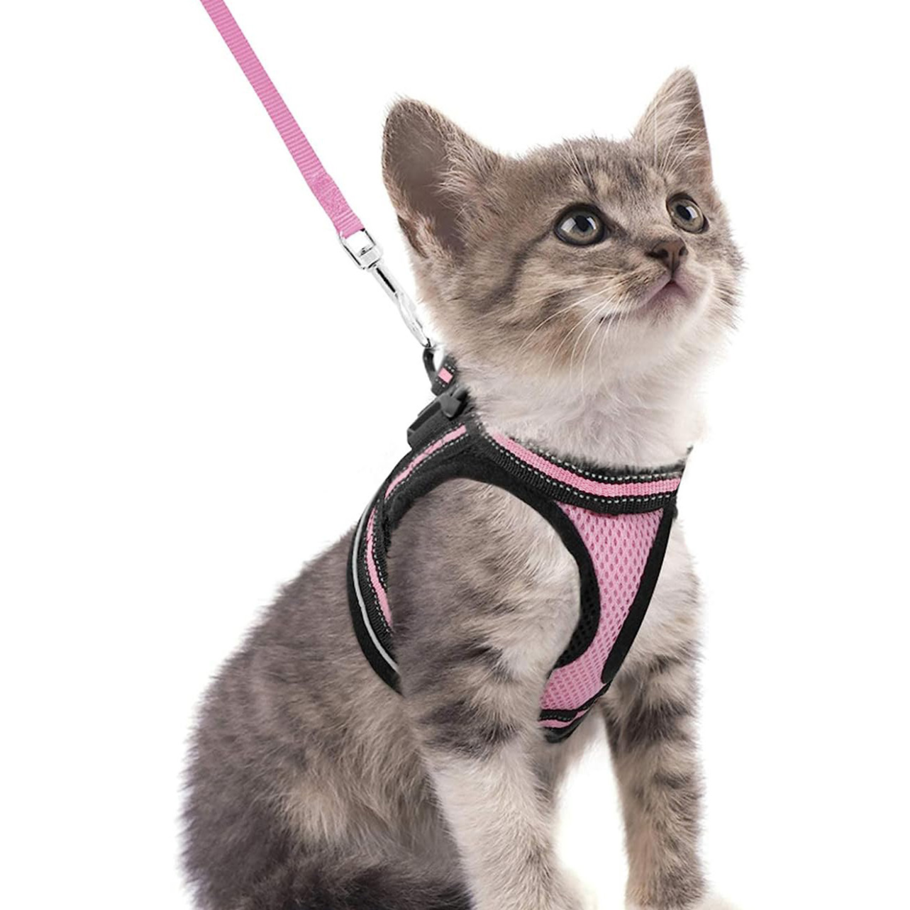 Escape-proof reflective harness and lead set, 2 sizes available