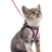 Escape-proof reflective harness and lead set, 2 sizes available