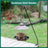 bird feeder