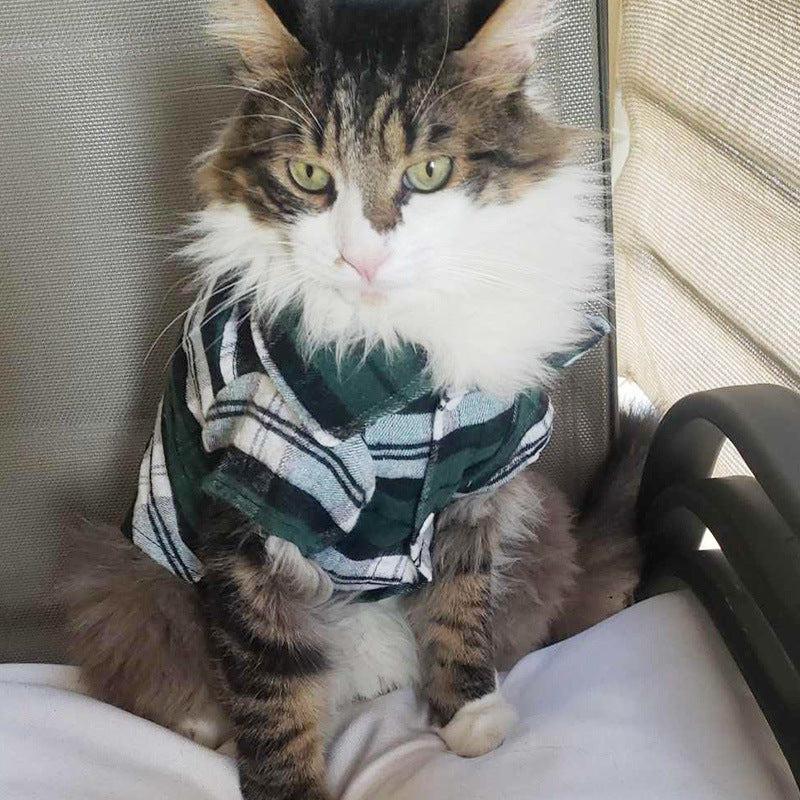 Plaid summer shirt for small dogs and cats, available in 3 colours, image 3