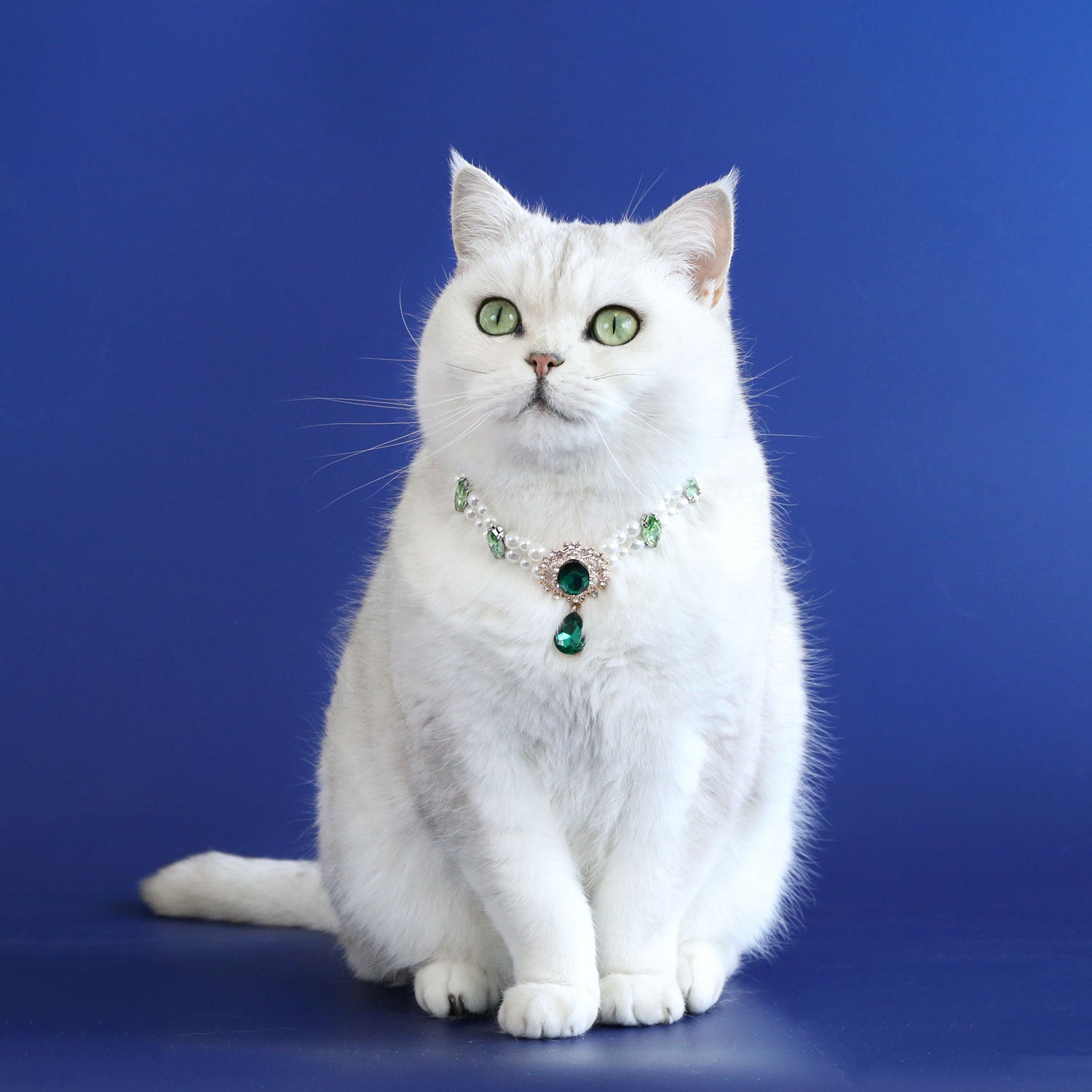 Pearl cat collar with crystal pendant on a small pet, product image 6