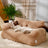 Semi-enclosed pet sofa bed with pillow for cats