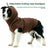Dog calming hooded vest worn - view 4