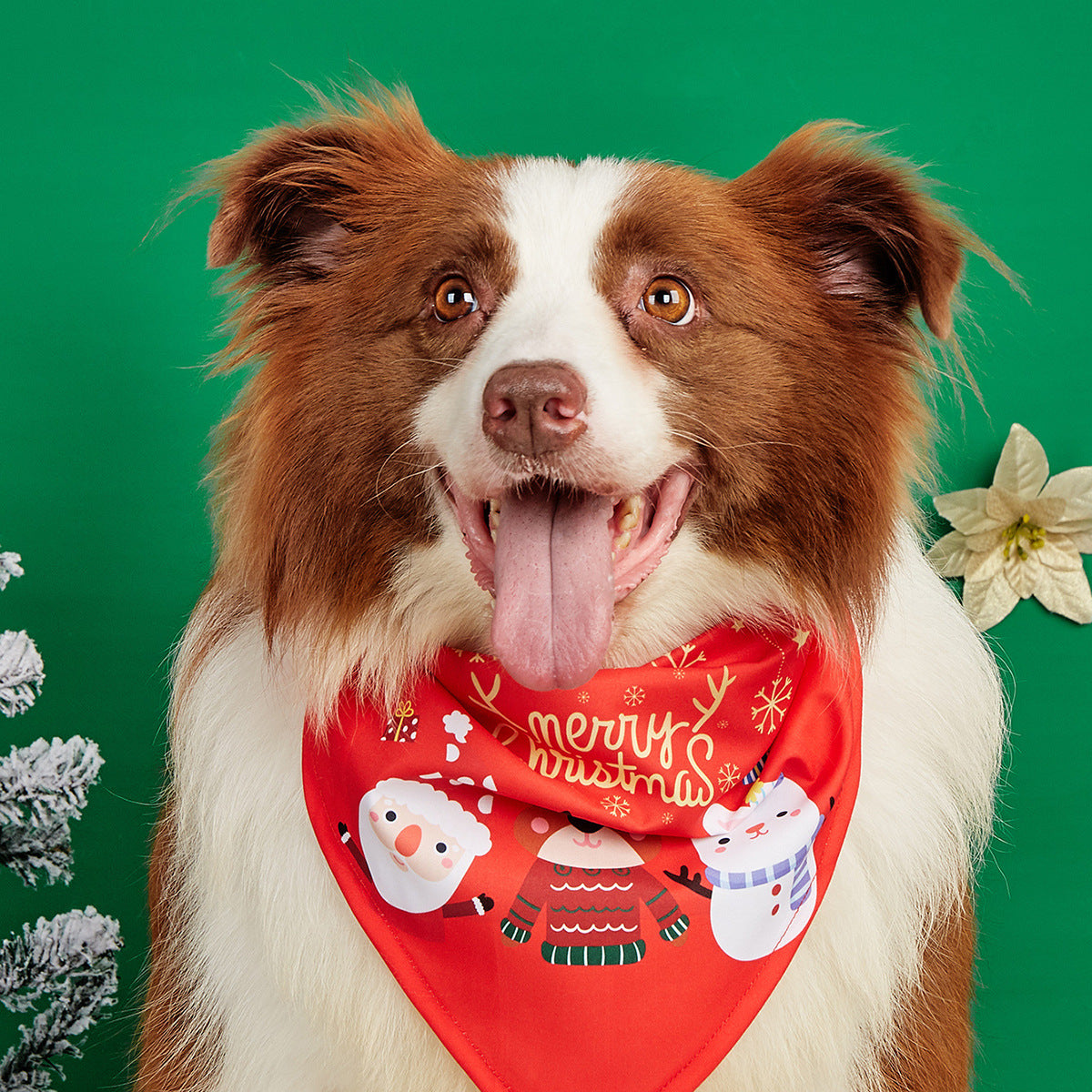 Cartoon print pet bandana for dogs and cats, in use with a pet