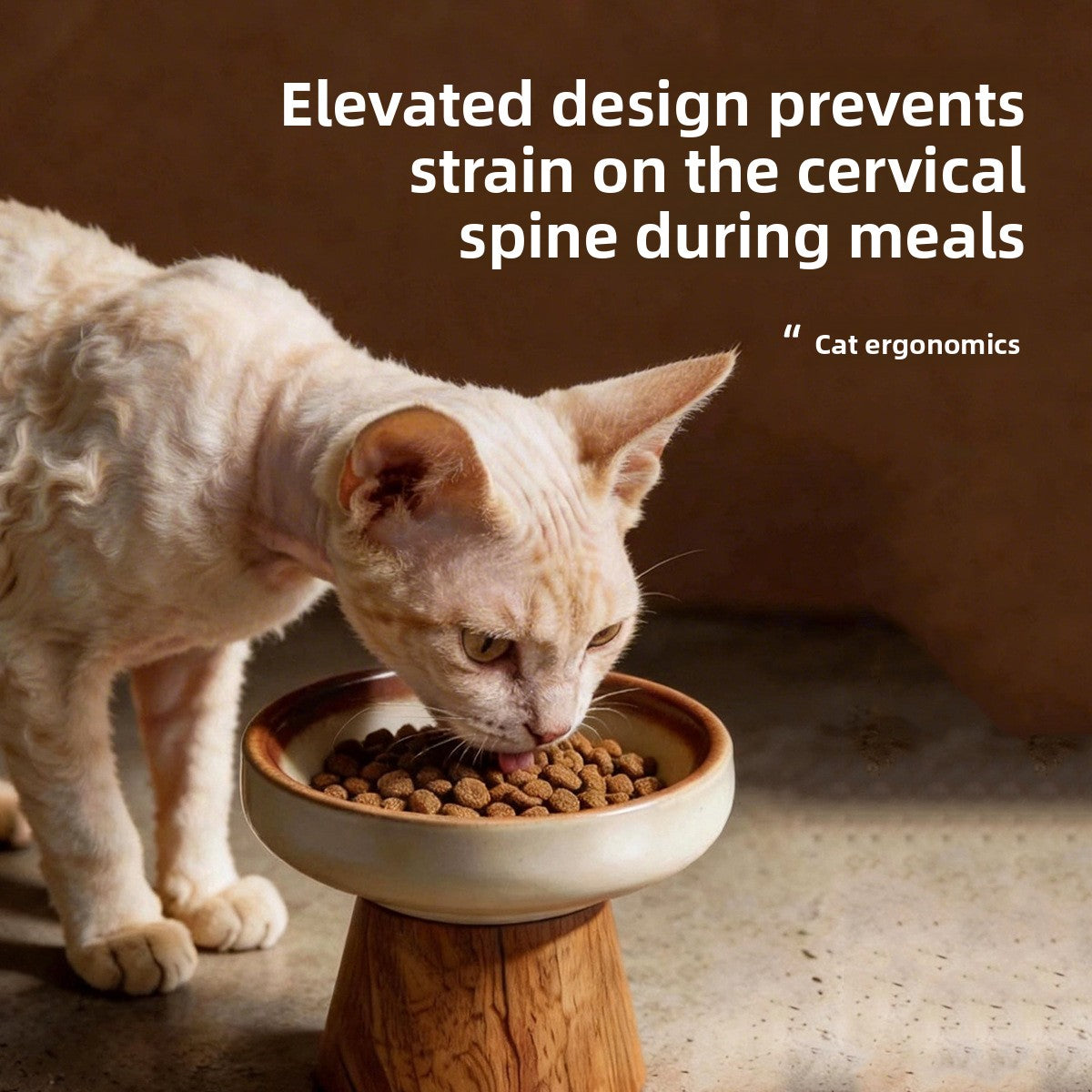 Ceramic Cat Bowl with Optional Solid Wood Stand in Tall, Wide or Shallow Dish Styles