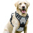 No-pull soft padded dog harness, 4 sizes available