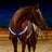 LED Light Up Adjustable Horse Chest Strap Rechargeable Nylon Safety Equestrian Gear with