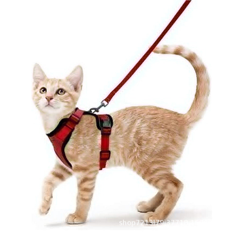 Mesh pet harness sets shown in eleven colours