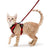 Mesh pet harness sets shown in eleven colours