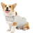 Cotton dog comfort jacket, available in 6 colours, sizes Extra Small to 2XL, image 11