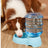 Automatic Gravity Pet Water and Food Feeder 3.8L with Anti-Spill Design