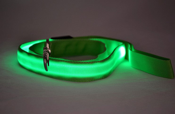 Light up nylon dog leads in eight glowing colours