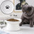 Ceramic Pet Bowl
