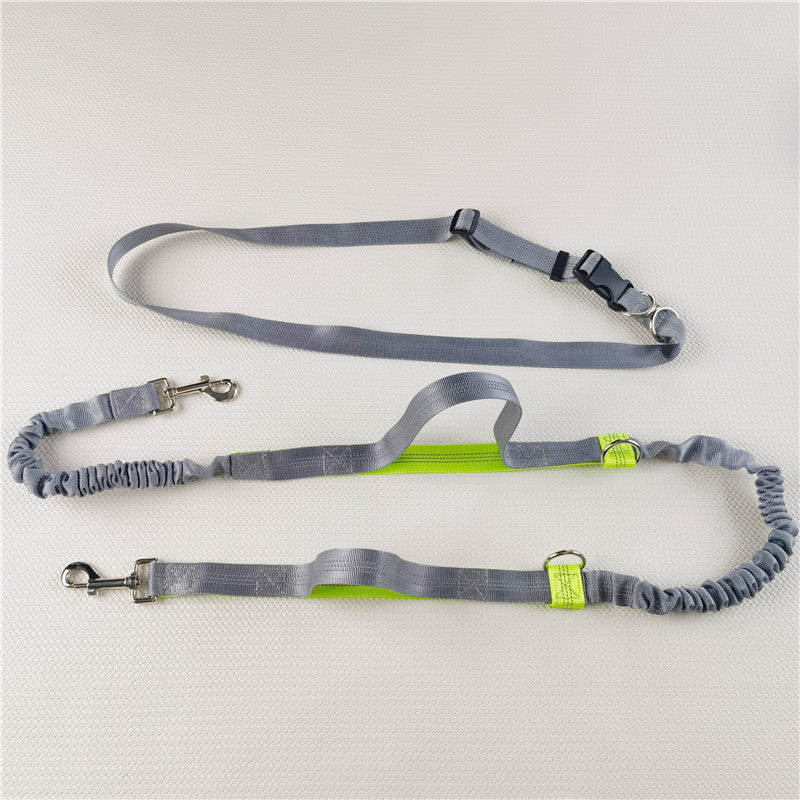 Hands-free bungee lead with two handles in 3 colour options