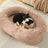Raised edge cotton dog bed with curved sides and soft cushion, photo 26