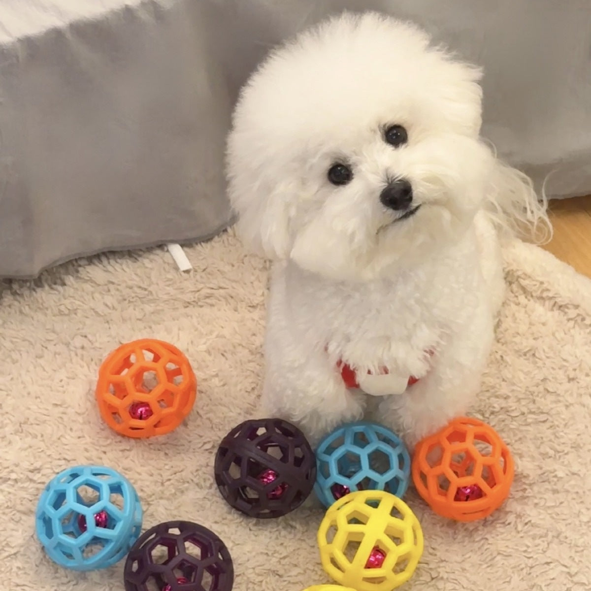 TPR dog chew ball with bell 9cm in four colours - photo 1