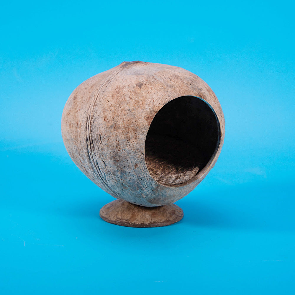 Natural coconut shell reptile hide, further angle view