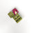 Scented Biodegradable Dog Poop Bags with Dispenser, Bulk Rolls