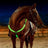 LED Light Up Adjustable Horse Chest Strap Rechargeable Nylon Safety Equestrian Gear with