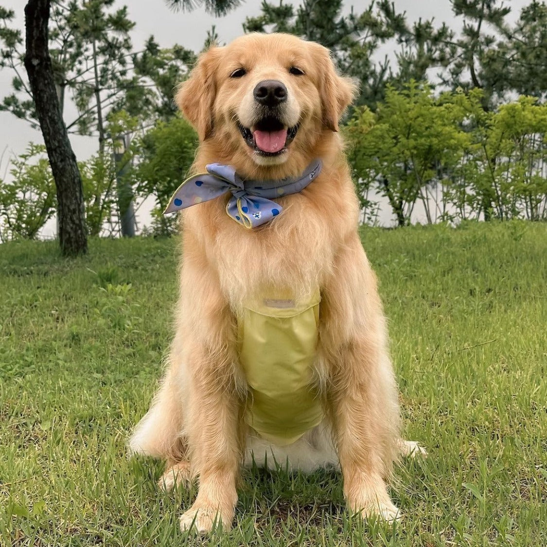 Waterproof belly protector for dogs and cats, product image 1