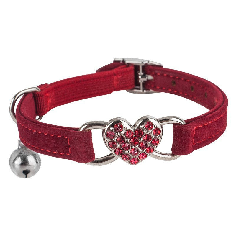 Elastic collar for cats and small dogs, close-up detail view
