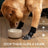 Non slip cotton dog socks set of four, available in 4 styles, image 2