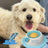 Anti-Spill Pet Slow Feeder Lick Tray for Cats and Dogs, Durable Plastic