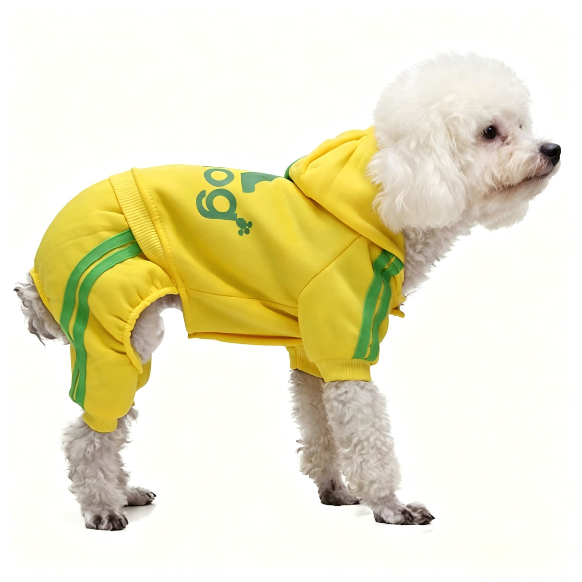 Small dog wearing a red four leg button up hoodie