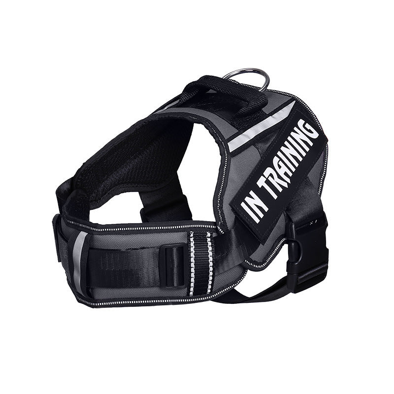 Reflective air mesh dog harness, ideal for everyday use
