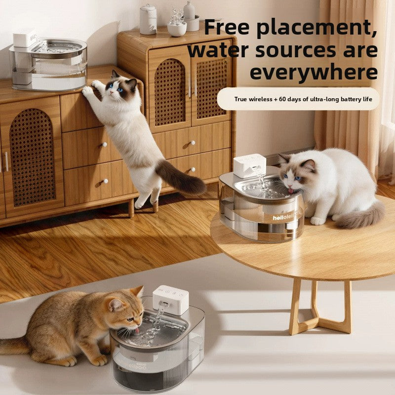 Wireless Pet Water Fountain with 4000mAh Battery, 60 Days Use and Stainless Steel Option