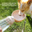 Portable dog water bottle cup with leakproof seal in Yellow Deluxe, in a home setting