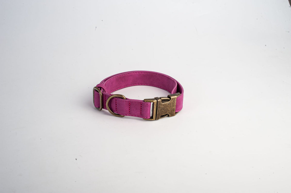 Soft leather dog collar with alloy buckle, product image 15